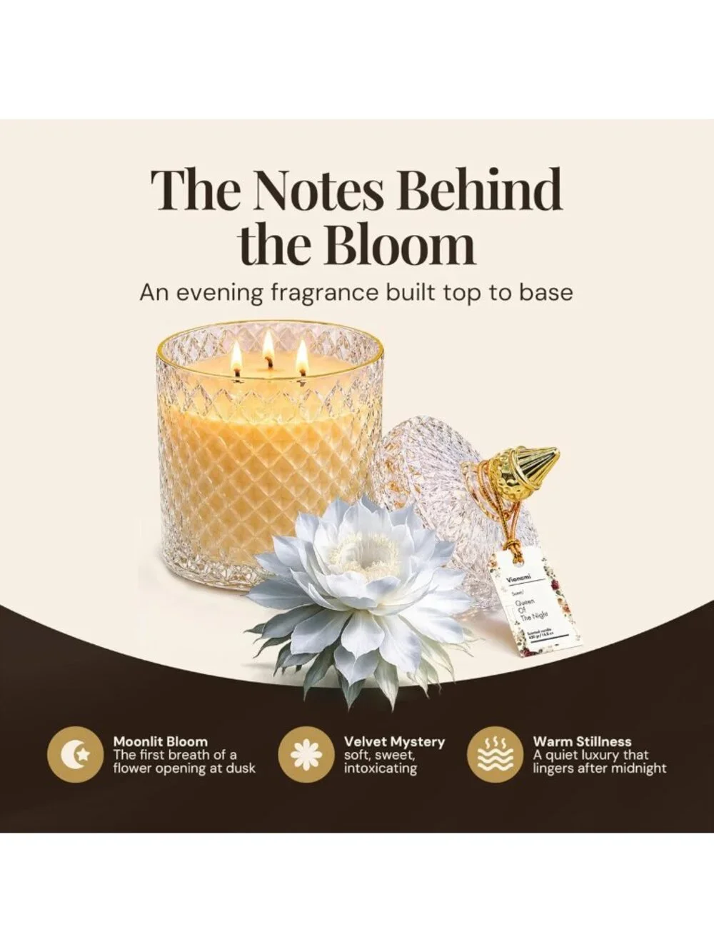 Luxury Scented Candle Gift - Queen of the Night Fragrance, Elegant Glass Jar, 80
